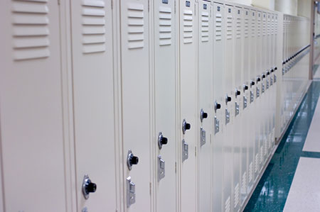Electrostatic Painted Lockers in Illinois